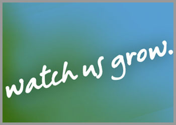 Watch Us Grow