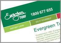 Evergreen Turf